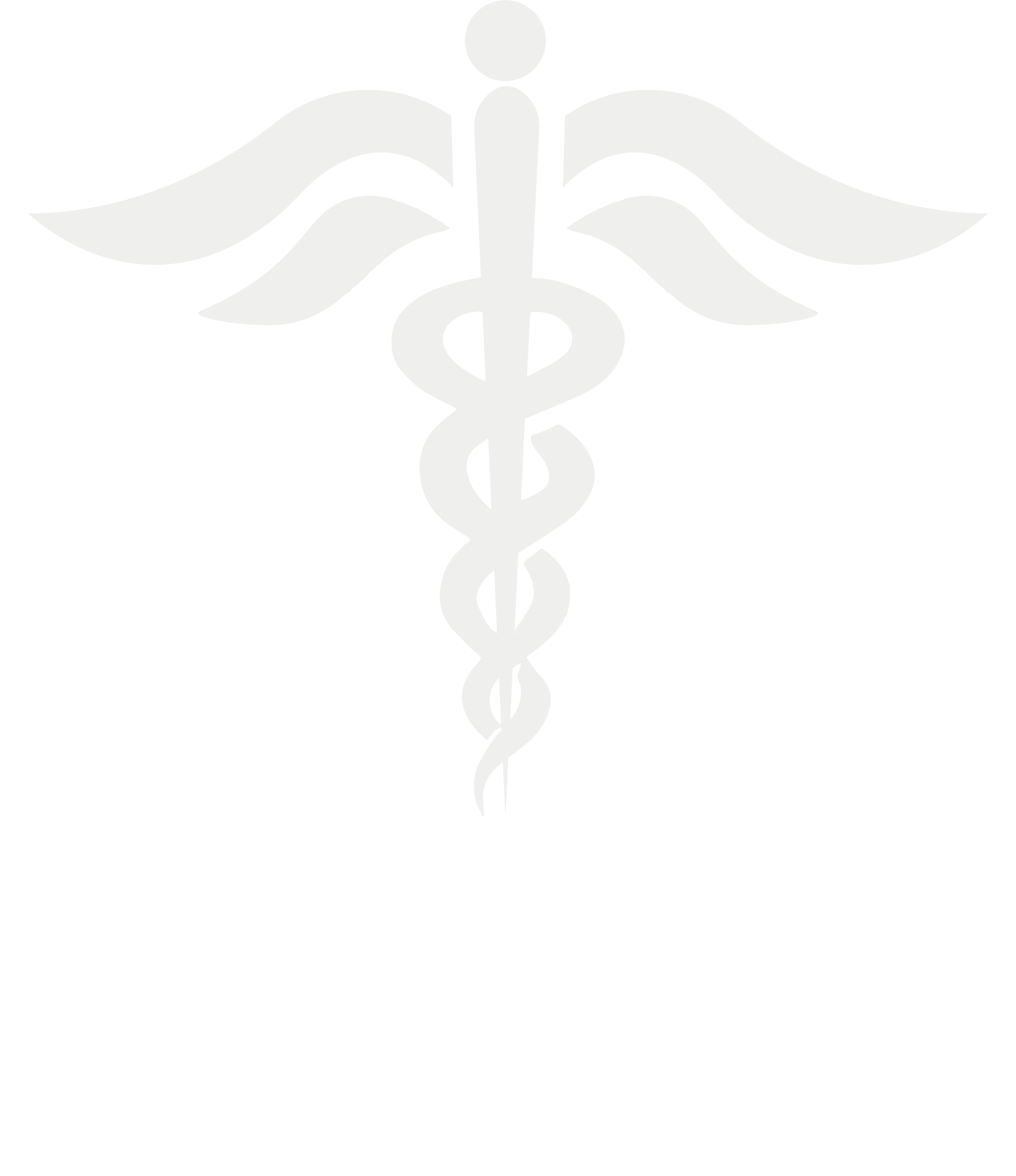 IPS SOCIAL SALUD